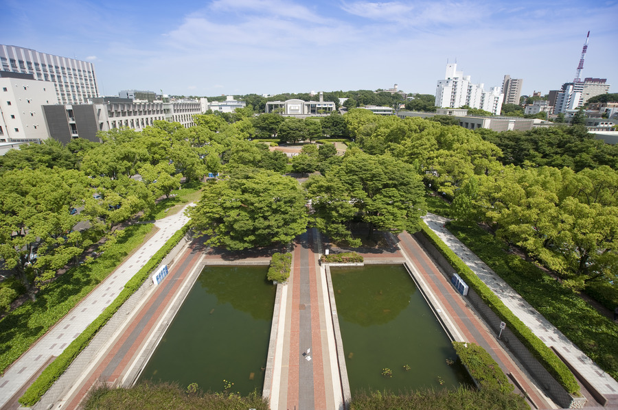 View from the Roof of the Nagoya University Library (in summer)