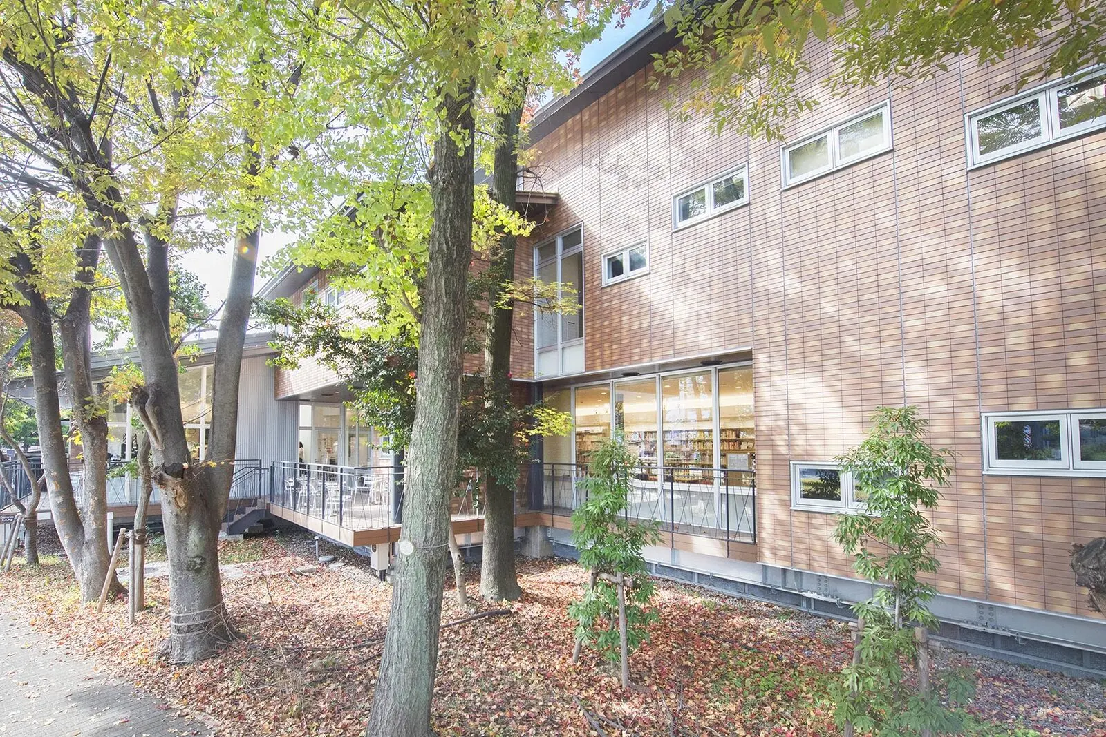 Gender Research Library