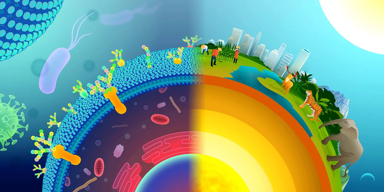 Institute for Glyco-core Research (iGCORE)