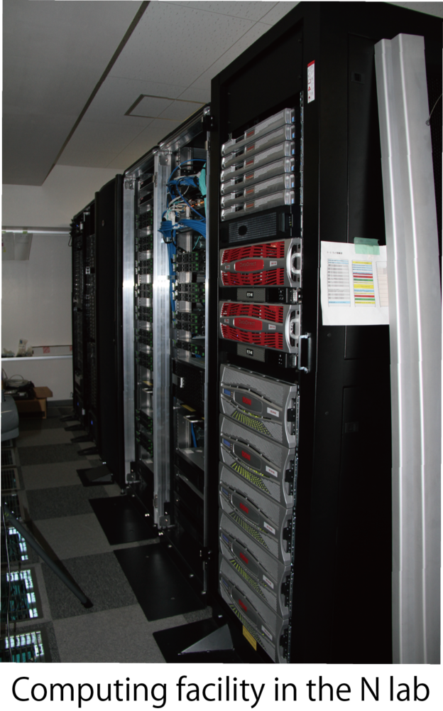 Computing facility in the N lab