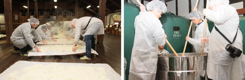 Brewing scenes of Nagomi Sakura at Morita Co., Ltd.