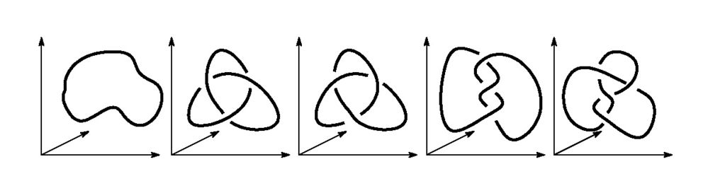 Figure 1: From the left: Trivial knot, Trefoil 1, Trefoil 2, Trefoil 3, Figure-eight knot