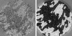 Fig. 1: Snapshots of the growth of cobalt on tungsten by real-time SPLEEM. The development of magnetization (light and dark areas) was observed over just 0.4 seconds as the cobalt increased from 5 monolayers (left) to 7 monolayers (right) in thickness. Images show areas 6 micrometers across.