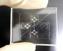 Fig. 1: A microfluidic chip with three orthogonally arranged magnetically driven microtool (MMT) arms for cell manipulation. Each of the three tool arms, pointing toward the center, is controlled by a set of four permanent magnets.