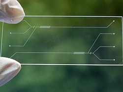 Fig. 1: Photograph of a microfluidic chip used in a fluorescence polarization immunoassay for detecting drugs. © 2010 M. Tokeshi.