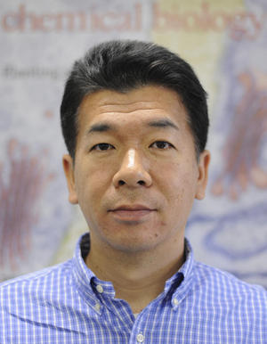 Prof. Yoshikatsu Matsubayashi