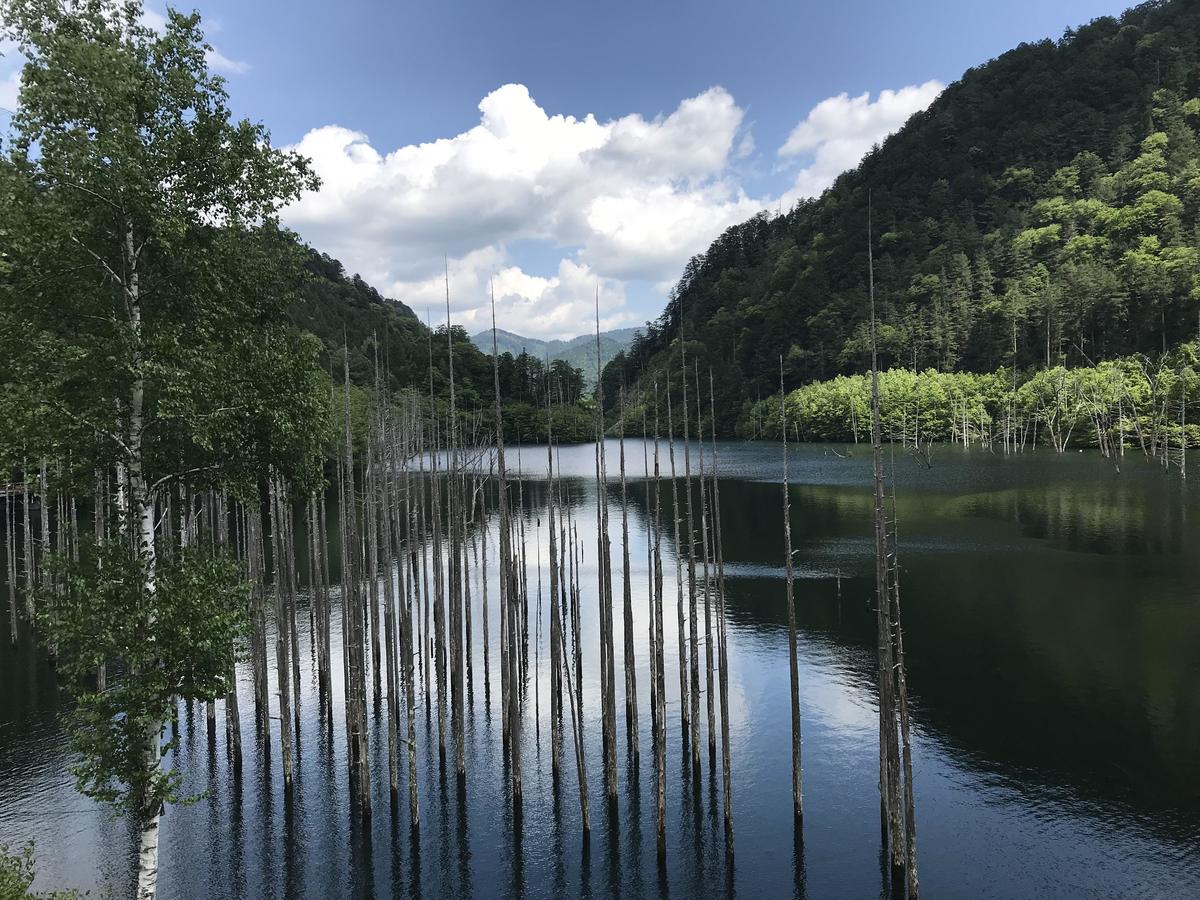 A “natural lake” reminiscent of Taisho Pond with a grove of dead trees