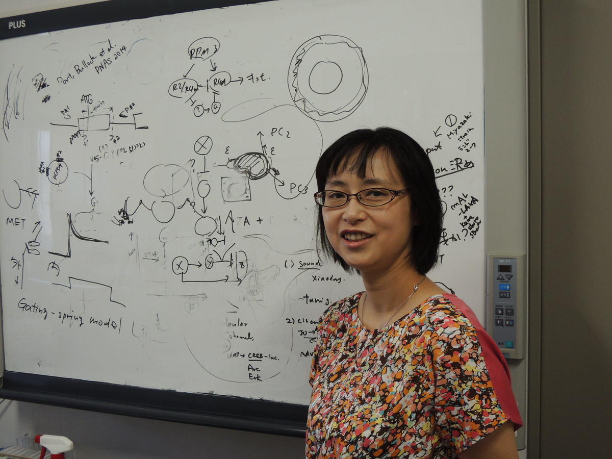 Prof. Azusa Kamikouchi