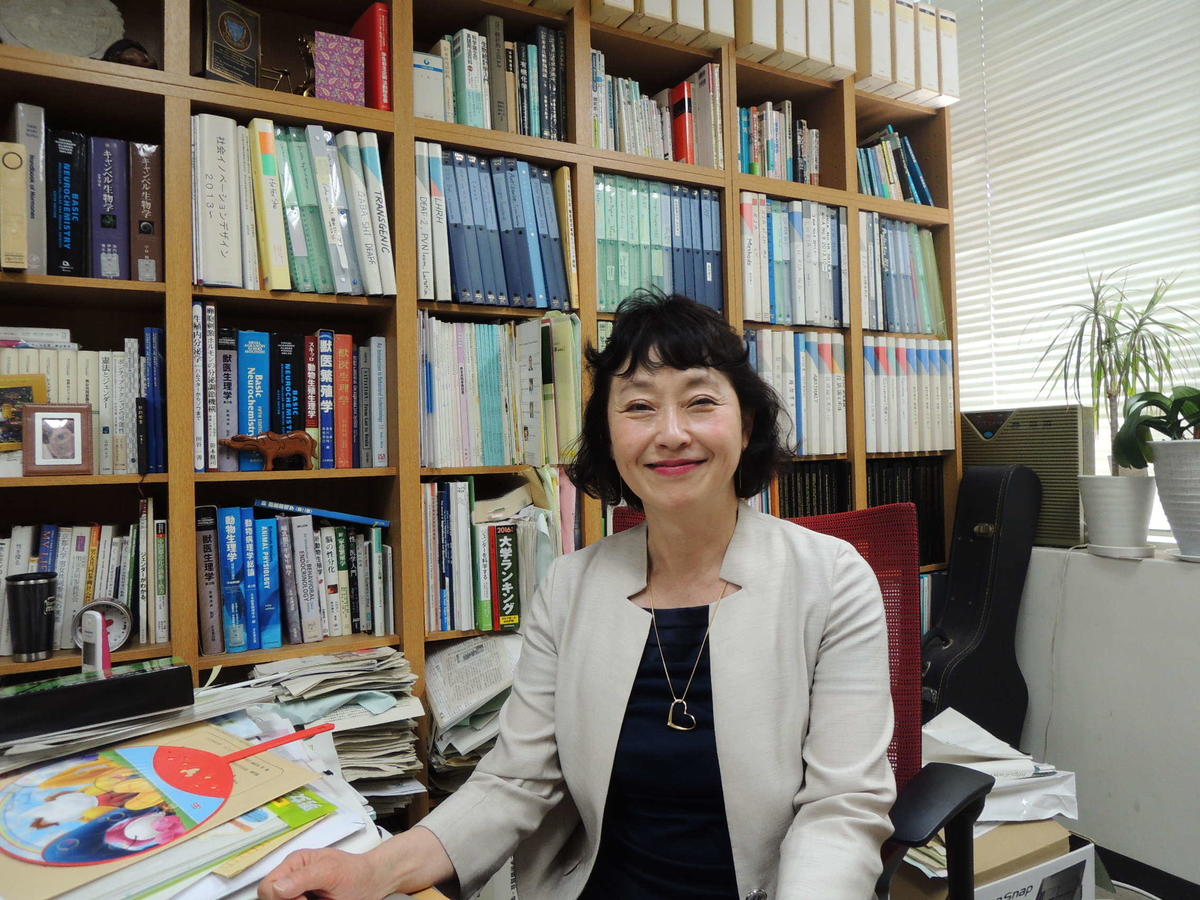 Appointed Director of the Center for Gender Equality, Prof. Hiroko Tsukamura of the Graduate School of Bioagricultural Sciences specializes in reproductive science