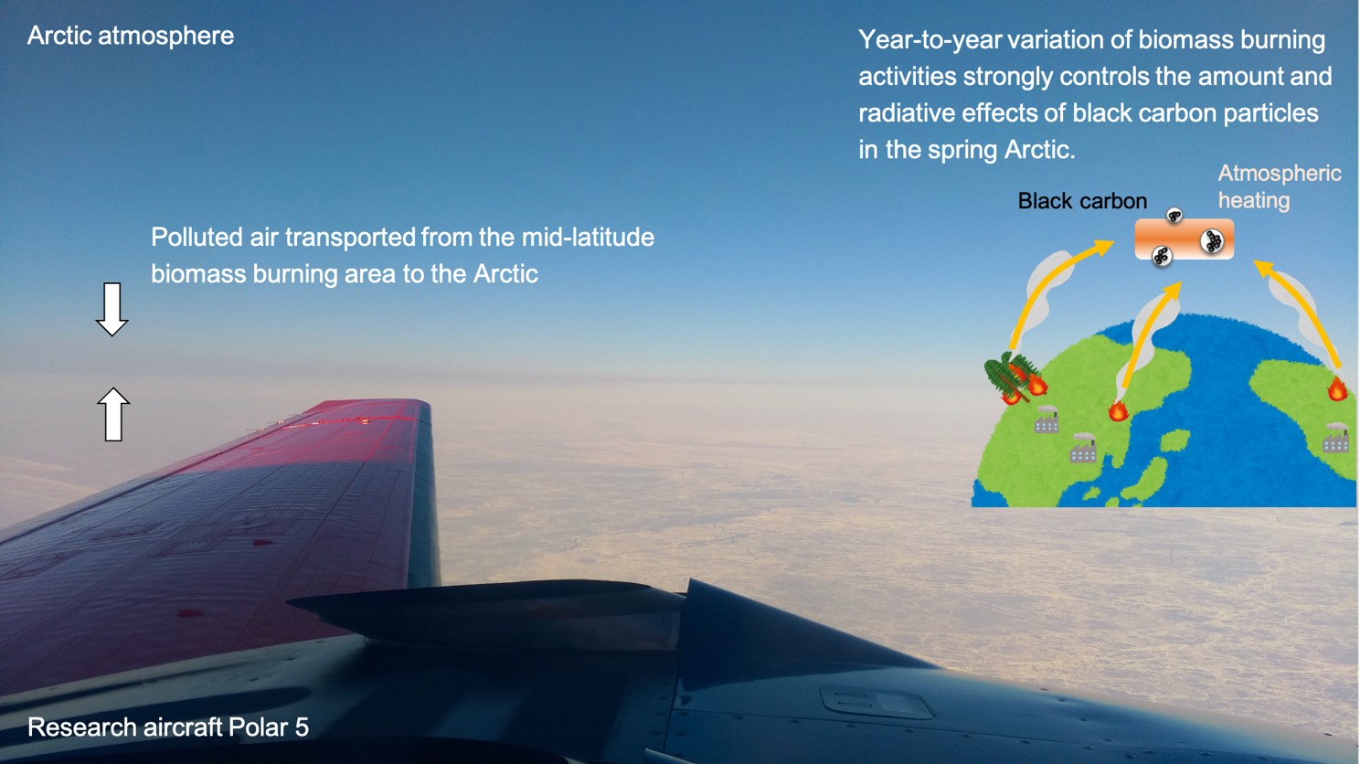 Fig. 2. Photo taken from the research aircraft Polar 5 during PAMRCMiP in 2018. A polluted layer was observed. A schematic drawing of transport of BC from mid-latitudes to the Arctic is also shown.(Credit: Sho Ohata)