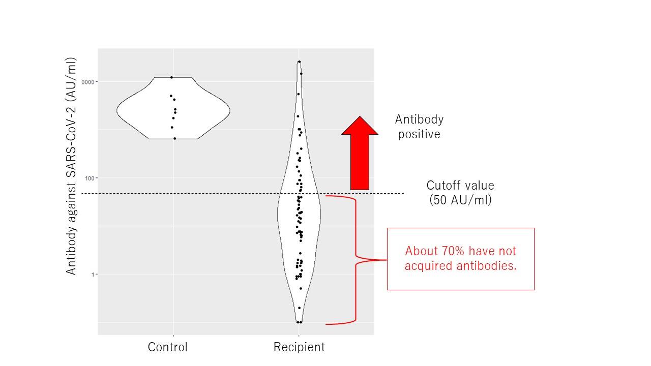 Acquisition of antibodies against SARS-CoV-2 after vaccination in post-kidney transplant recipients.About 70% have not acquired antibodies. (Credit: Akihito Tanaka)