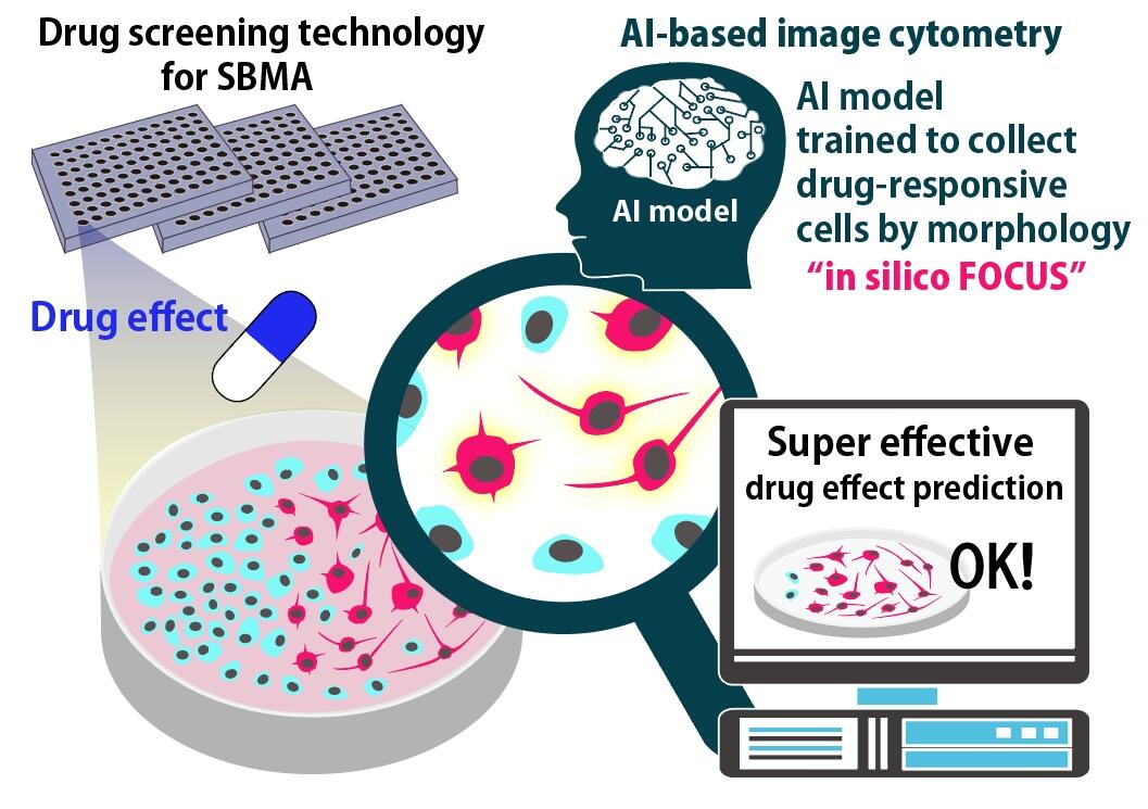 Neuron analysis tool offers hope for research into neurodegenerative disorders. (Credit: Ryuji Kato)