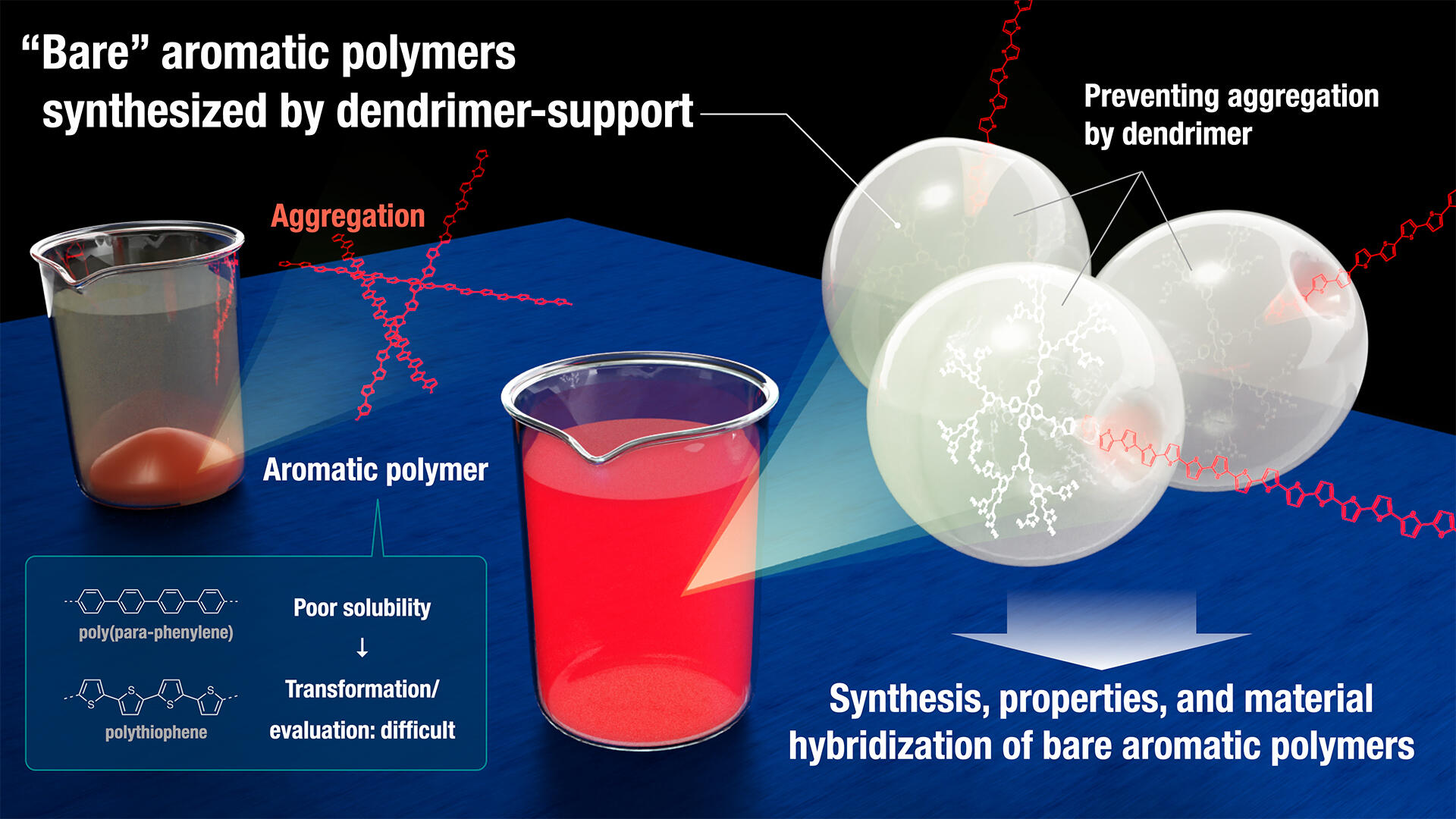 “Bare” aromatic polymers synthesized by dendrimer-support
(Credit: Issey Takahashi (Institute of Transformative Bio-Molecules (ITbM), Nagoya University))