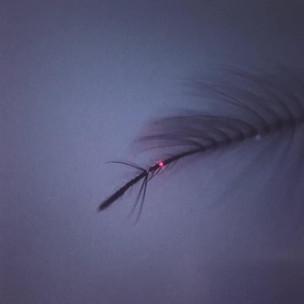 Researchers measured mosquito ear vibrations to test their hearing systems using laser Doppler vibrometry.
(Credit: International Communications Office, Nagoya University)