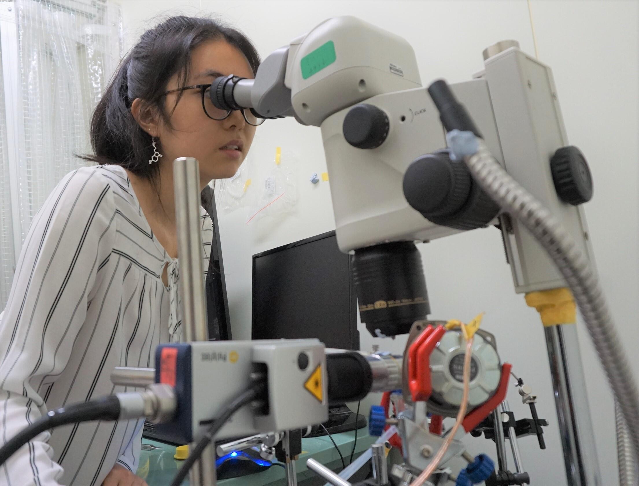 Co-lead author YuMin M Loh preparing a mosquito for ear vibration frequency measurement.
(Credit: International Communications Office, Nagoya University)