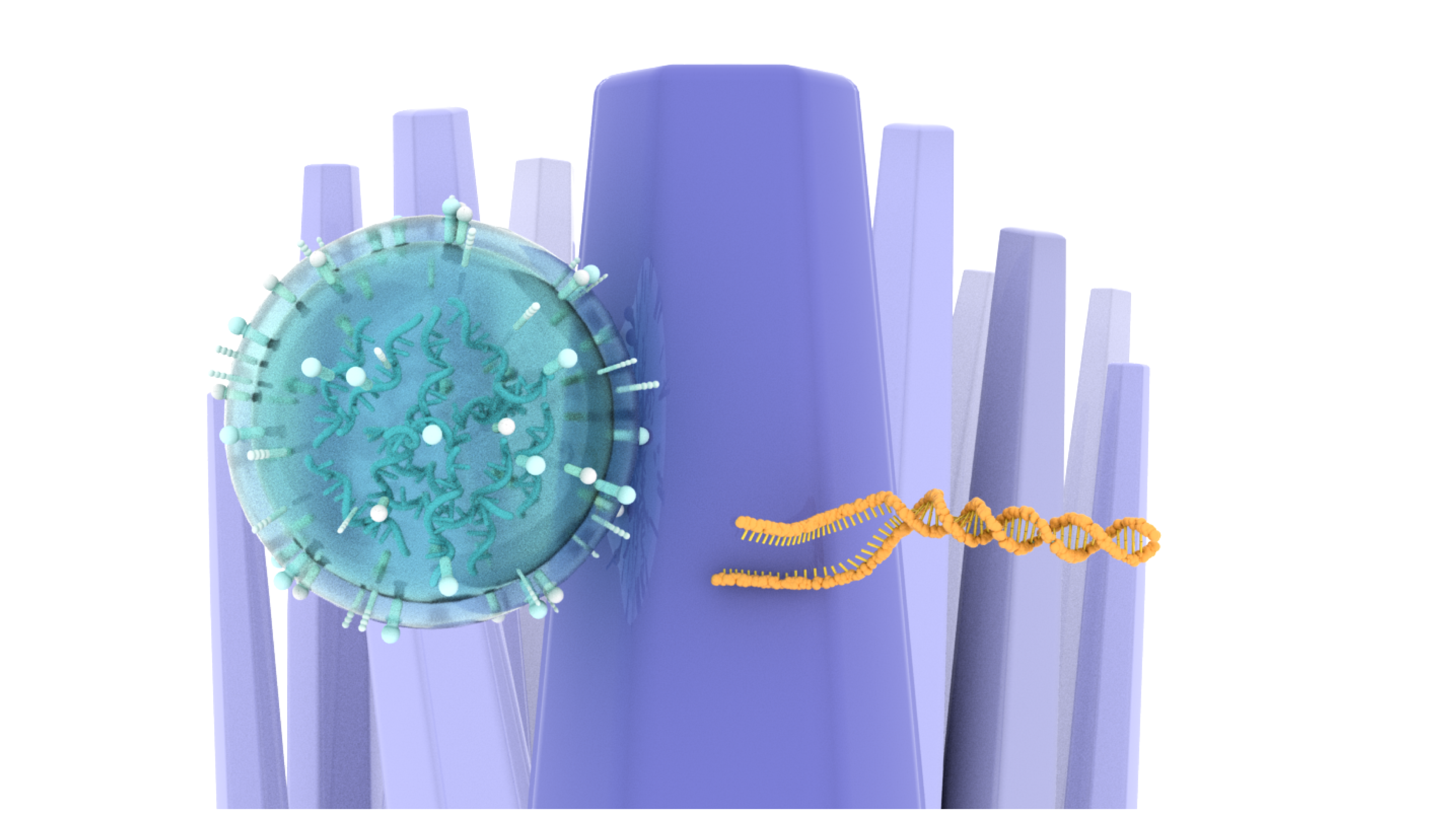 Urine tests identify brain tumors by capturing cancer-derived extracellular vesicles and DNA
using nanowires.
(Credit: Takao Yasui)