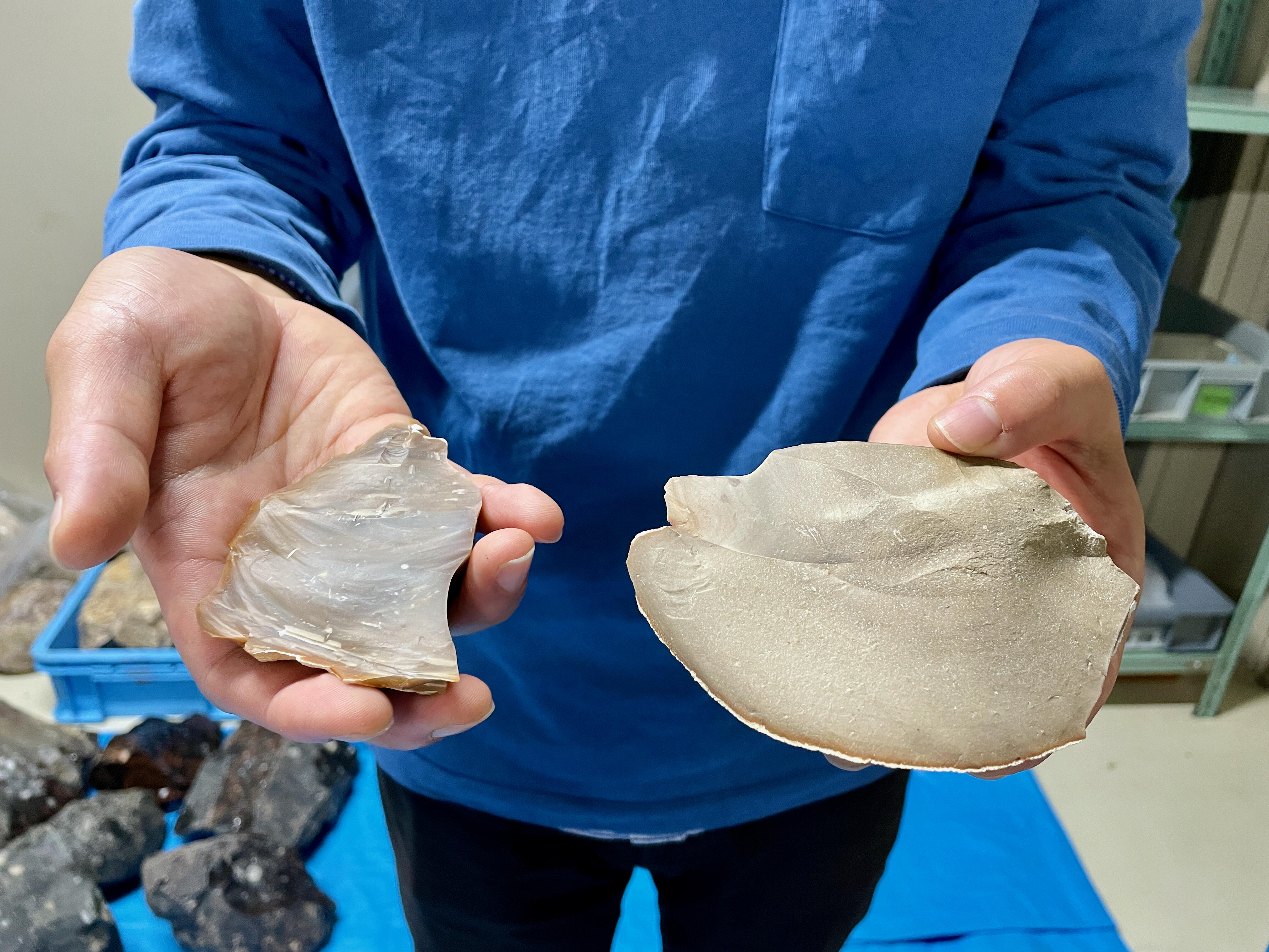 An archaeologist, Eiki Suga, showing fine-grained flint (left) and middle-grained flint (right).
(Credit: Megumi Maruyama)