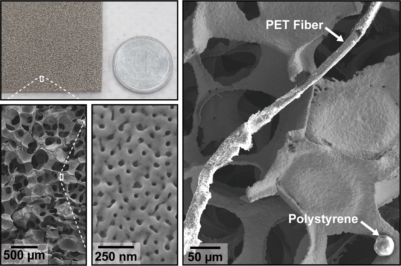 Upper left: Metal foam and a 1-yen coin for scale.
Bottom left: SEM image of a silver foam showing macropores used to capture microplastics from solution.
Bottom middle: SEM image of the nanoscale pores used to capture light and enhance the chemical signal of the microplastics.
Right: SEM image of the metal foam exposed to polystyrene beads, PET fibers, algae and soil.
(Credit: Olga Guselnikova and Joel Henzie)