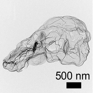 Electron microscope image of oxygen-doped carbon nanosheets obtained from guanine. Credit: Jiabao Li et al. Nature Communications (Springer Nature)