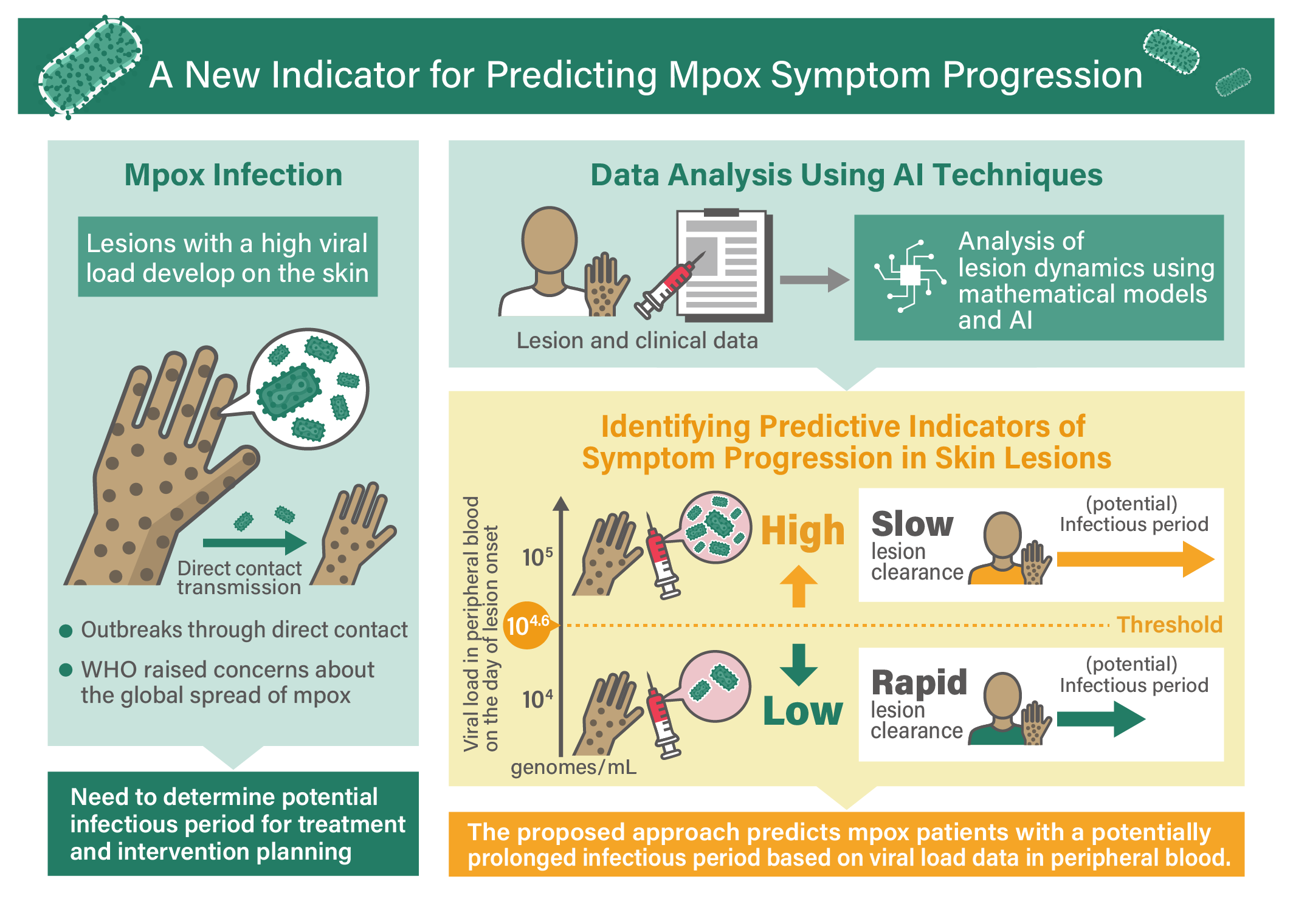 Researchers have measured blood virus levels in clade Ia mpox patients during early infection and developed a new approach to help predict the severity of their symptoms.