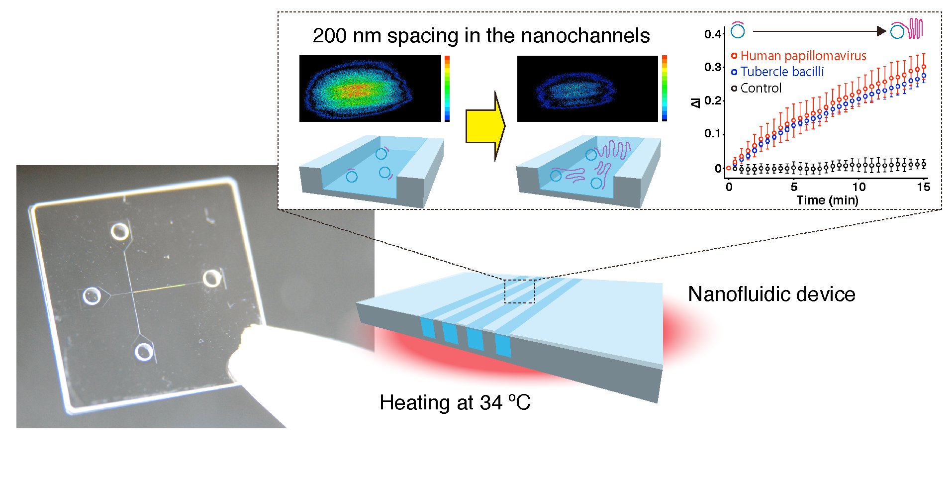 Caption: A photo and a schematic illustration for a nanofluidic diffraction grating. Label-free signals based on a diffraction intensity change were attributed to amplification of DNA molecules, such as human papillomavirus and tubercle bacilli.  &copy; Takao Yasui