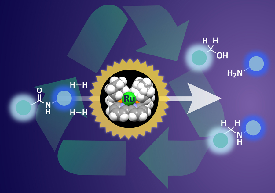 Figure: Design of a sterically confined bipyridine-ruthenium (Ru) framework allows controlled confinement of adsorbed H2  and its delivery to inert amides enabling catalytic hydrogenation of a wide range of amide bonds. Cleavage of both C=O and C-N lactam bonds achieved by activation of a single precatalyst. &copy; Nagoya Univesity