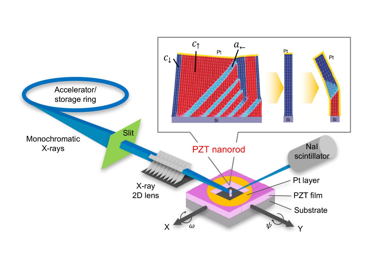 Caption: Charge screening in ferroelectric Pb(Zr,Ti)O3 nanorods was used to control their domain pattern. The *c*-domain fraction markedly increased with as the rod width decreased, while the *a*-domain formation prevailed by metallization of their sidewall. All the observed results could be explained by the depolarizing field, arising from the imperfect charge screening. This approach could be expanded to other low-dimensional nanoscale ferroelectric systems. © Tomoaki Yamada