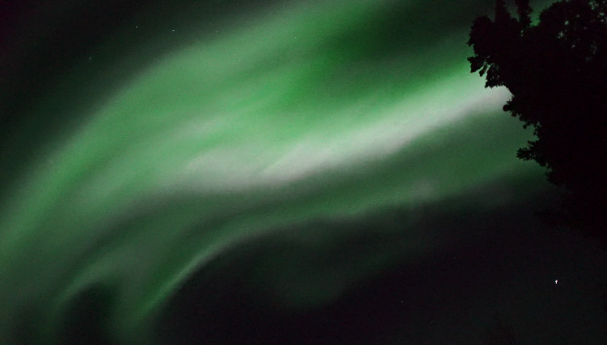 Caption: Flickering aurora. The pale pink area at the center is flickering. Filmed by: Ayumi Y. Bakken, filmed at: Fairbanks, AK, USA; filming date: March 18, 2015; playback speed: 1x. © Ayumi Y. Bakken