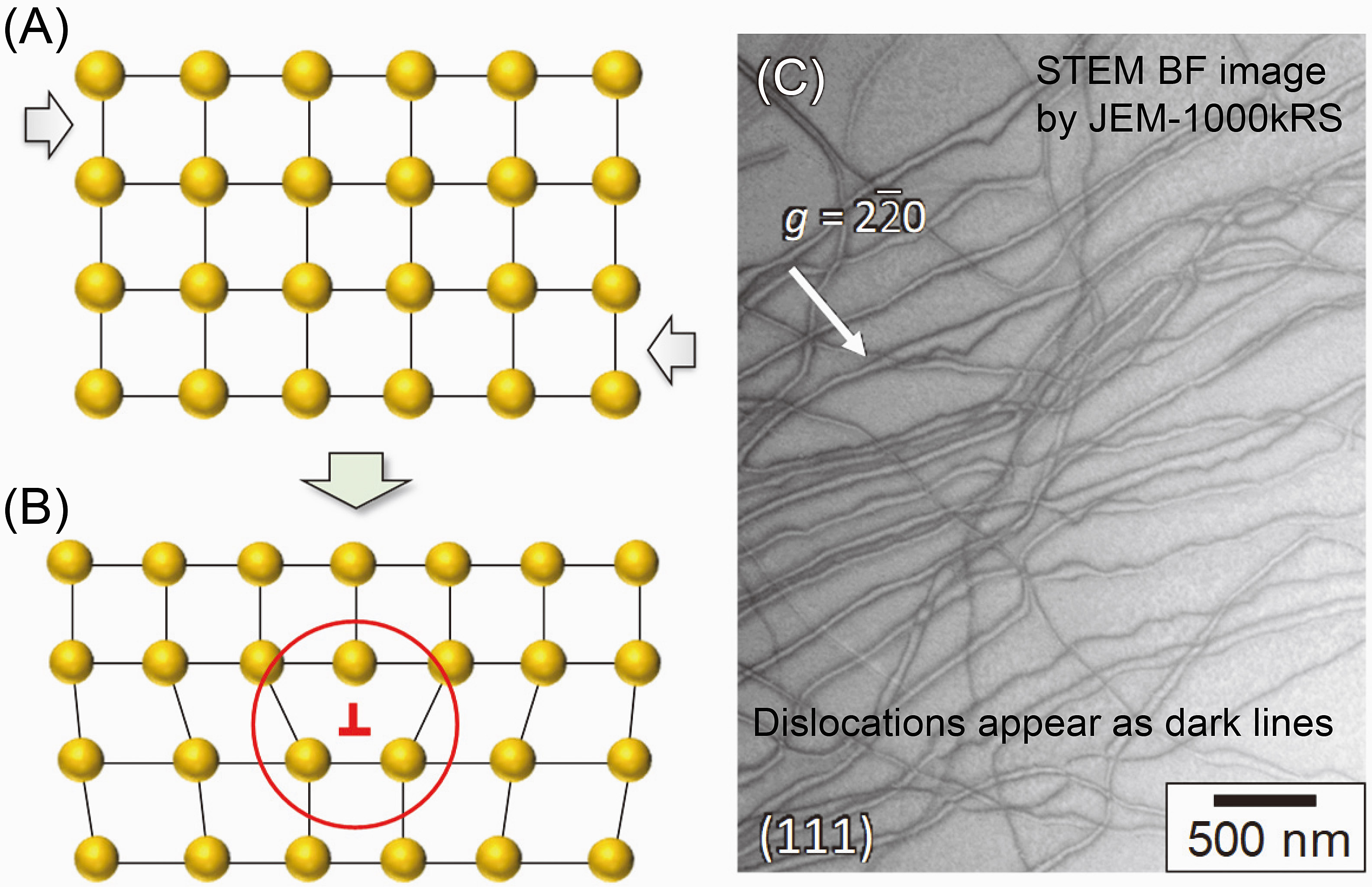 Fig.2 Dislocations inducing the extraordinary plasticity