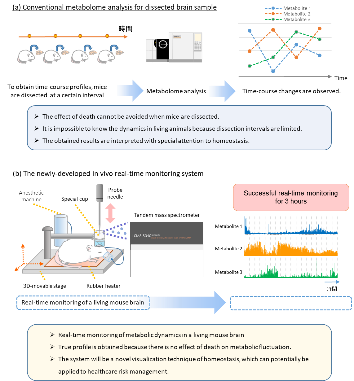 Fig.1 Differences between conventional metabolome analysis for dissected brain samples and the newly developed *in vivo* real-time monitoring system
