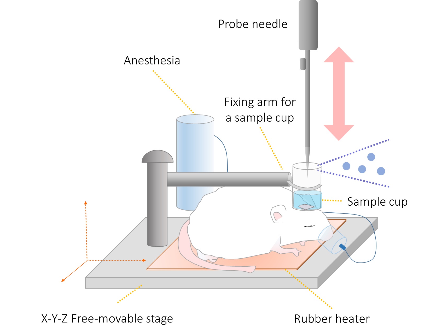 Fig.2 Schematic image of a free-movable stage