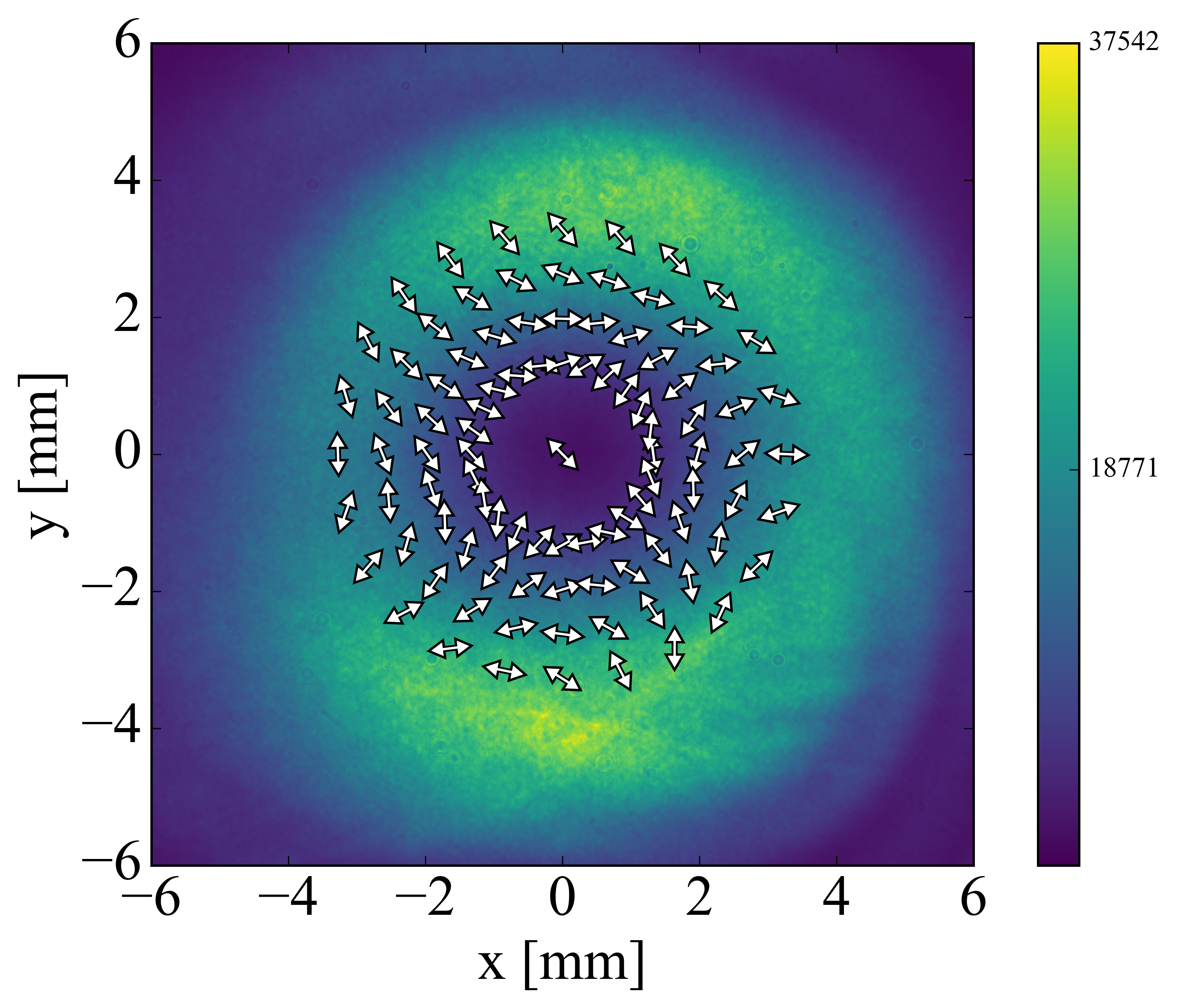 Fig. 1: Observed intensity and direction of the polarization of the vector beam.