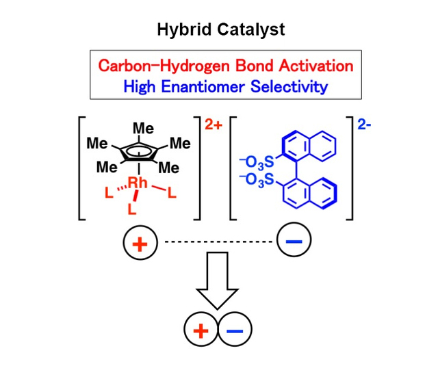 The hybrid catalyst is formed by combining a simple-structured, commercially available rhodium and a readily available organic catalyst through ionic interactions.