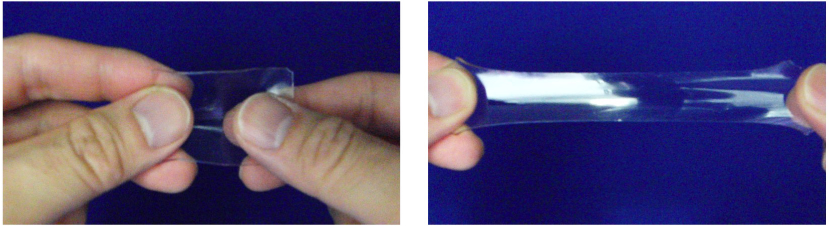 Fig. 1: Photos of the HRP-C-**MEO2MA** elsastomer exhibiting a reversible extensibility change