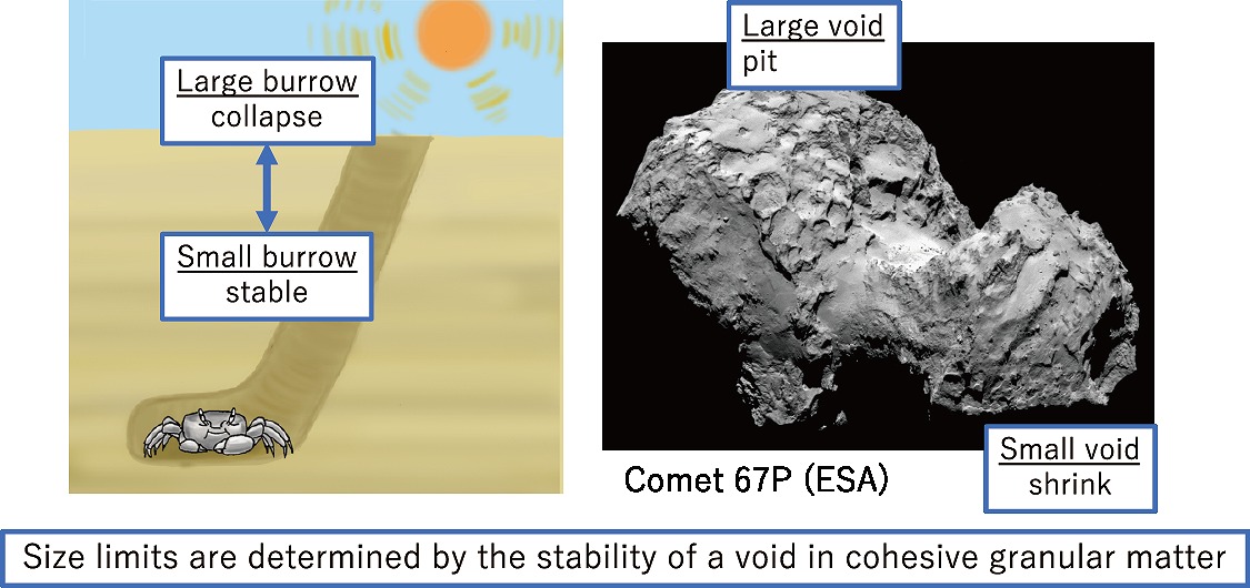 Fig. 3. Sand crab burrow and cometary surface. To construct safety burrows, sand crabs dig relatively narrow tunnels. Large burrows are likely to collapse. The pit structures found on comet surfaces have a characteristic size range that is consistent with the collapse condition of void structures in cohesive granular matter. Therefore it appears that both crab burrows and cometary pits are governed by the stability of voids in cohesive granular matter.