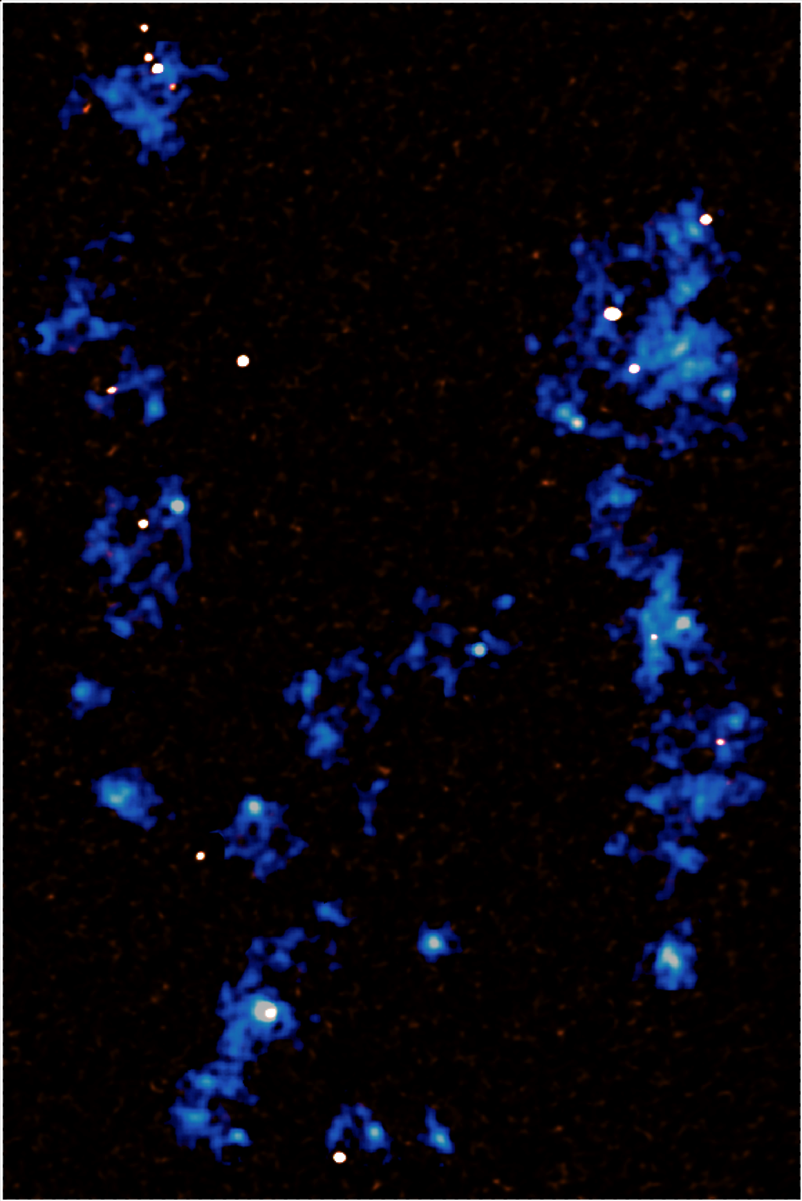 Figure 1: Map showing the gas filaments (blue) running from the top to the bottom of the image, detected using the MUSE instrument at the Very Large Telescope. The white dots embedded within these filaments are very active star forming galaxies which are being fed by the filaments, and which are detected using the Atacama Large Millimeter/submillimeter array. Credit: Hideki Umehata