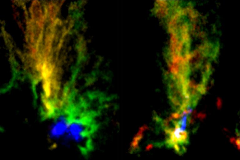 ALMA images of two molecular clouds: N159E-Papillon Nebula (left) and N159W South (right). Red and green show the distributions of molecular gas with different velocities mapped by 13CO emissions. The blue region in N159E-Papillon Nebula shows the ionized hydrogen gas observed with the Hubble Space Telescope. The blue part in N159W South shows the emissions from dust particles obtained with ALMA. Credit: ALMA (ESO/NAOJ/NRAO)/Fukui et al./Tokuda et al./NASA-ESA Hubble Space Telescope