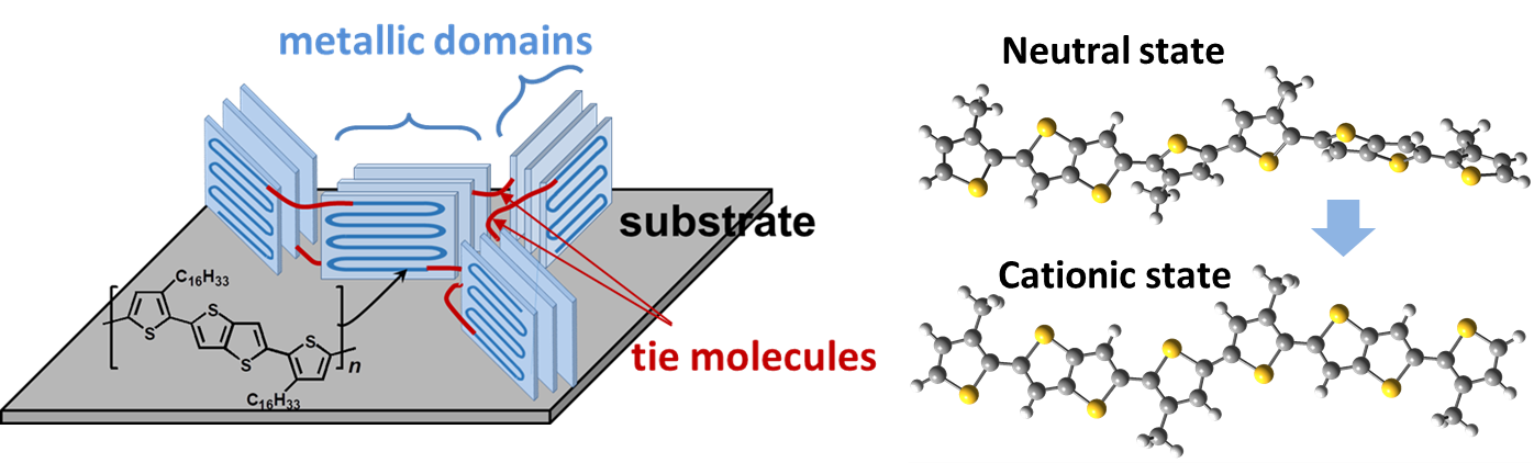 Left: The scientists found that their doping technique formed linkages (red) between PBTTT's crystalline parts (blue rectangles). Right: They also found that PBTTT was twisted in its natural state but became highly planar when doped with electrolyte. (Credit: Takenobu Group)