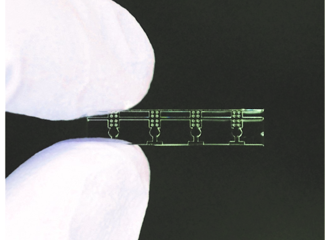 Photo1: The transparent device is tiny and allows the growth of four separate seedlings. (Credit: The Plant Journal)