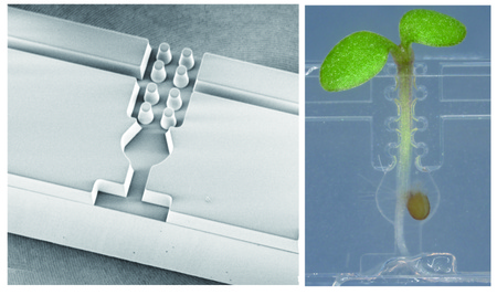 Photo2: Each unit in the device is designed to control and support plant growth, cutting, and grafting. (Credit: The Plant Journal)