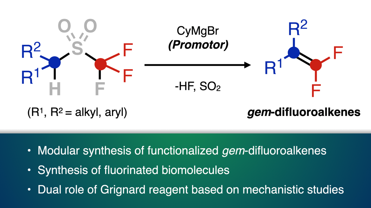 The reaction of triflones with the organic magnesium Grignard reagent allows for the synthesis of gem-difluoroalkenes (Credit: Issey Takahashi)