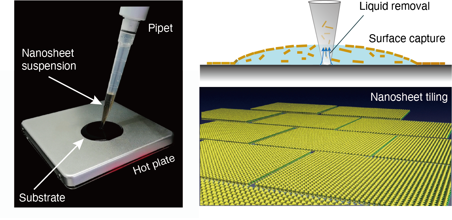 Image: The process, which involves dropping a nanosheet suspension onto a substrate heated by a hot plate and then removing the solution, leads to a uniform surface tension-driven tiling of the nanosheets, with limited gaps between them. Reprinted (adapted) with permission from ACS Nano 14, 15216 (2020). Copyright 2020 American Chemical Society