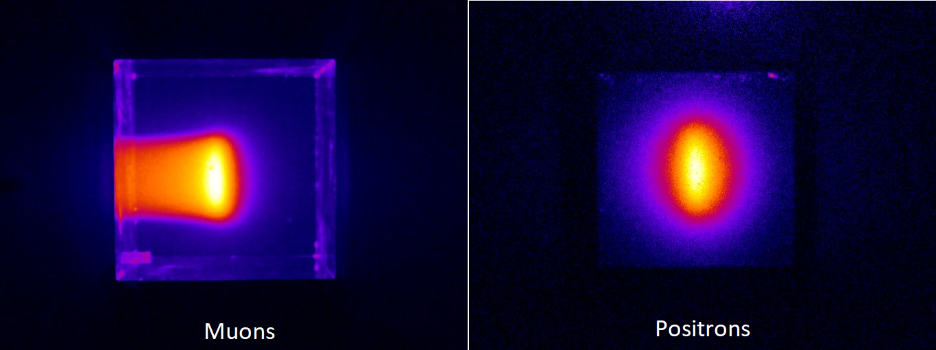 The scientists were able to use their technique to take images of muons and positrons as they passed through water and a plastic scintillator. (Credit: Seiichi Yamamoto)
