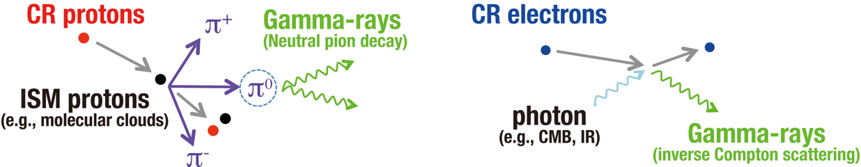 Figure 1. Schematic images of gamma-ray production from cosmic-ray protons and electrons. Cosmic-ray protons interact with interstellar protons such as molecular and atomic hydrogen gas. The interaction creates neutral pion that quickly decays into two gamma-ray photons (hadronic process). Cosmic-ray electrons energize interstellar photons (mainly Cosmic Microwave Background; CMB) into gamma-ray energy via inverse Compton scattering (leptonic process). (Credit: Astrophysics Laboratory, Nagoya University)