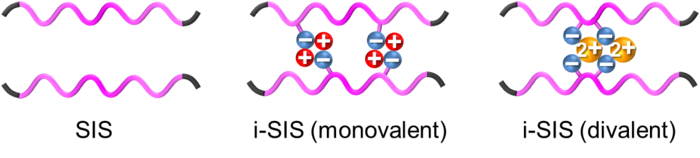 Fig. 1. Schematic molecular-level illustration of SIS and i-SIS (Credit: Atsushi Noro)