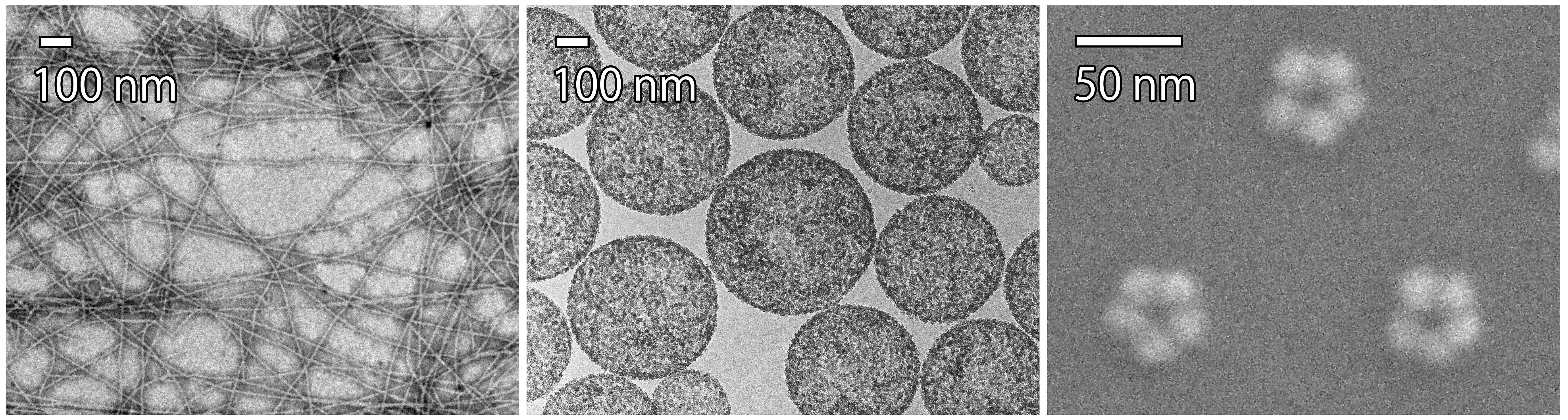 Examples of self-assembly. (left) nanofibers formed by molecularly designed proteins, (center) vesicle-like aggregates of nanoparticles, and (right) ring-like aggregates of nanoparticles. They all spontaneously form an ordered structure in water.