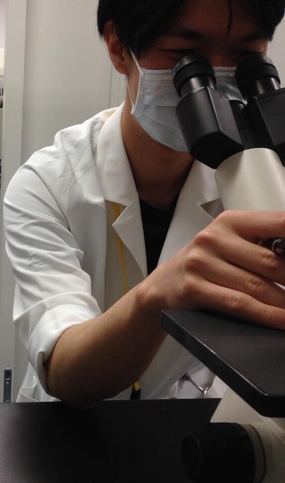 Examining infectious diseases with a microscope at the Nagoya University Hospital