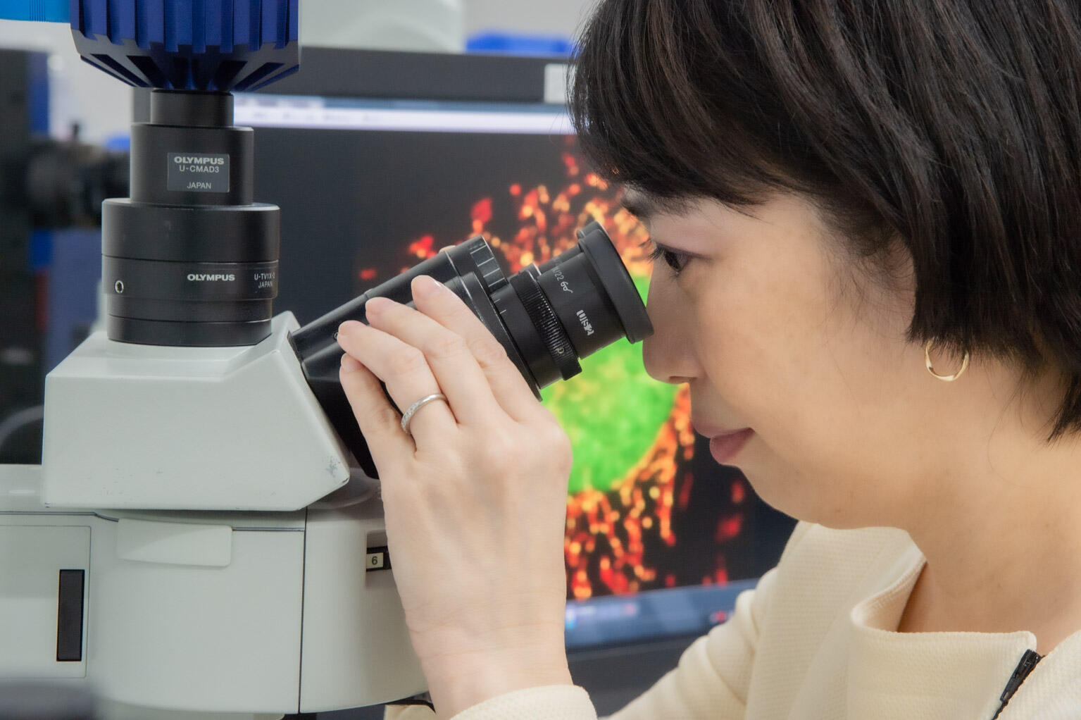 Observation of living human cells using fluorescence microscopy