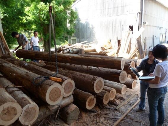Measuring the Young's modulus of Japanese cedar logs using the axial vibration method (at the Toyota Forestry Association)