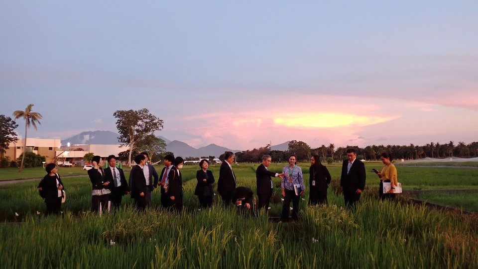 Researchers explain research being done in IRRI rice fields to the Nagoya University delegation. *(October 9, 2023)